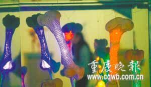 《念》是五根牛骨